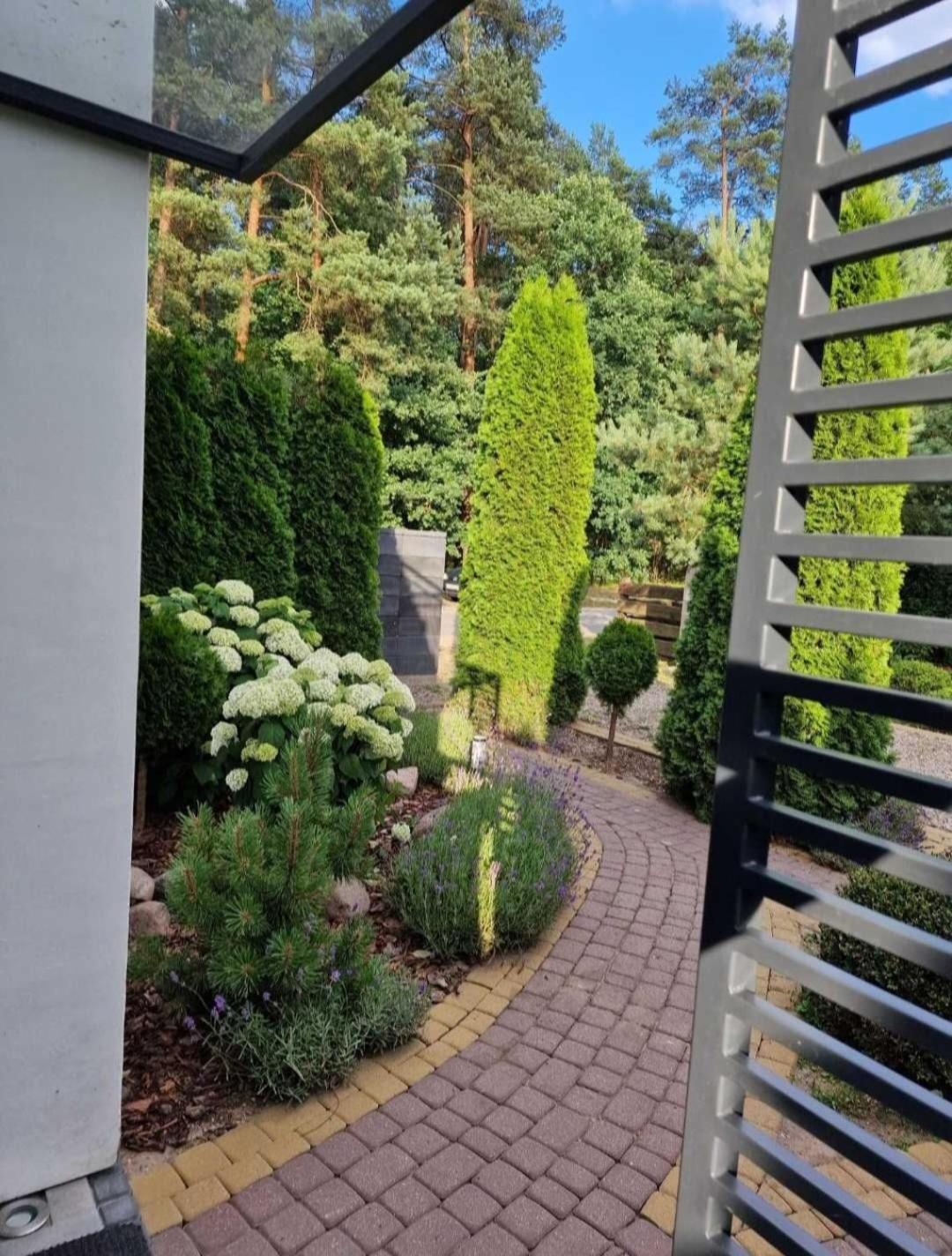 Apartamenty Pod Sosnami Ostróda Międzylesie Habitación foto